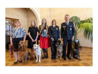 Pomozte vybrat hrdiny v anketě Statečné psí srdce