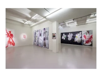 Petrbokovo umění: Deník pacienta v DOXu