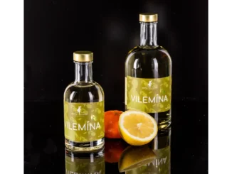 Odkryjte tajemství Vilemína na Zámku Zelená hora