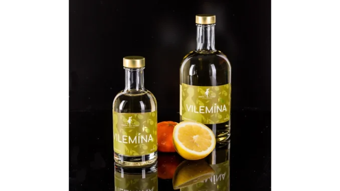 Odkryjte tajemství Vilemína na Zámku Zelená hora