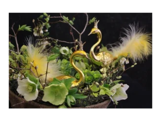 Koulier zve na Festival labutí plný umění