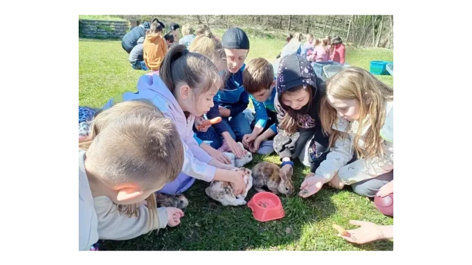 Ekologie v školách: Ústecký kraj ukazuje novinky