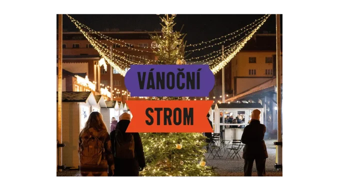 Vánoční strom v tržnici: Soutěžní návrhy vítány!