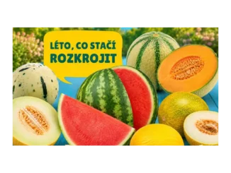 BILLA radí, jak správně uchovat meloun