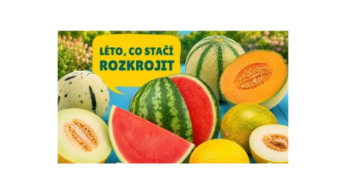 BILLA radí, jak správně uchovat meloun