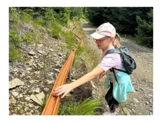 Kuličkodráha a kůrovcová stezka na Dolní Moravě