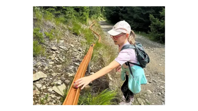 Kuličkodráha a kůrovcová stezka na Dolní Moravě