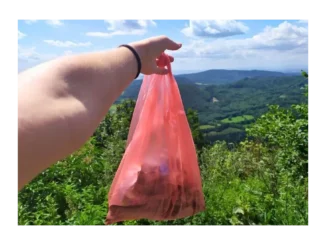 Úklid Česka: Připojte se k celosvětové akci