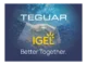 IGEL a partnerství s Teguar: Moderní technologie